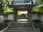 P1000818.jpg